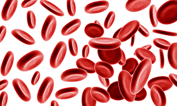 Røde blodceller.jpg